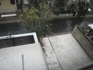 0307yuki.JPG